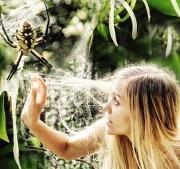 Trapped By A Big Spider