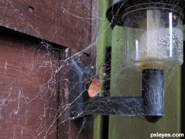 Consumed by the Web