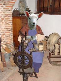 spinning Sheep