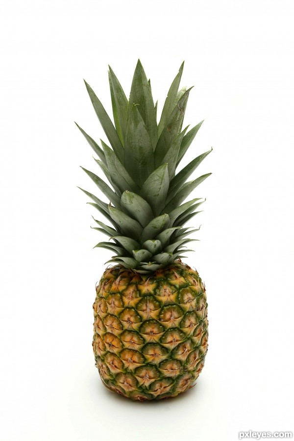 Creation of PINEAPPLE SPLASH: Step 1