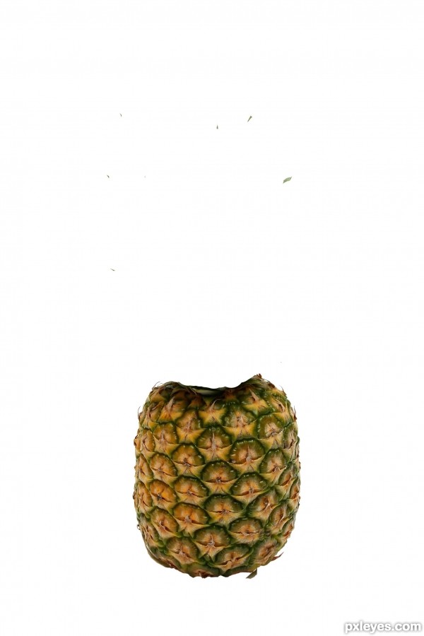 Creation of PINEAPPLE SPLASH: Step 3