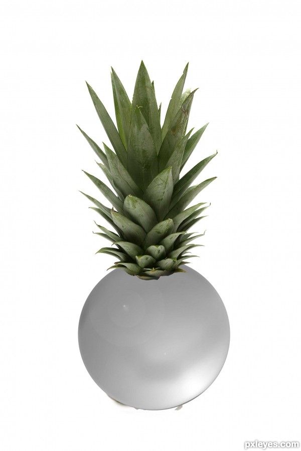 Creation of PINEAPPLE SPLASH: Step 6