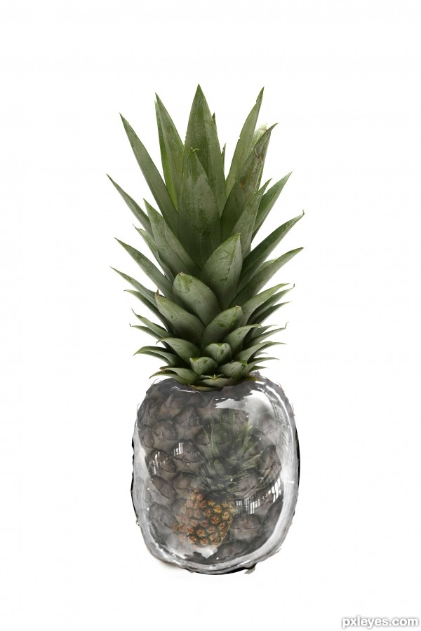 Creation of PINEAPPLE SPLASH: Step 11