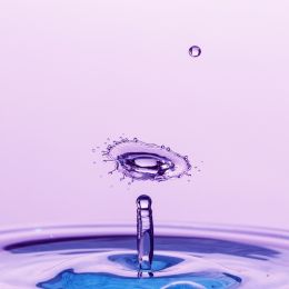 Purple splash Picture