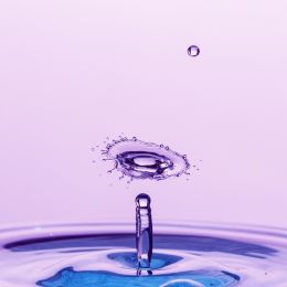 Purplesplash