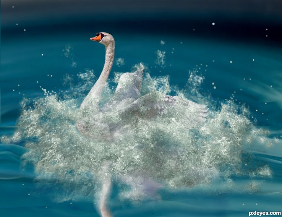 SWAN....