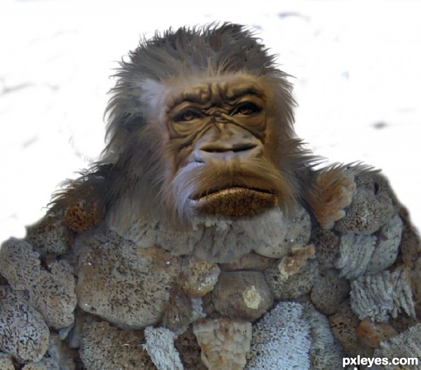 Creation of My Friend "Squatch": Step 2