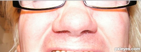 Creation of Would you like a nasal hut?: Step 1