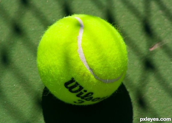 tenis ball