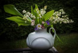 Lily of the valley, daisies, violets...