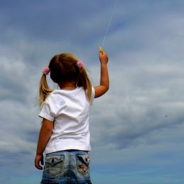 butterfly kite Picture