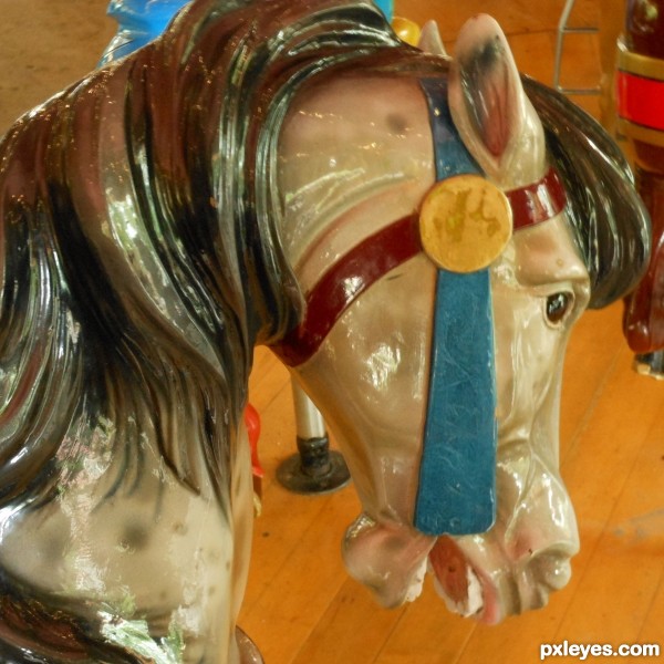 Carousel Horse