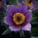 square format 2 photography contest