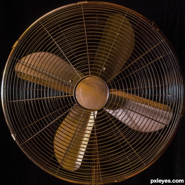 Old Fan