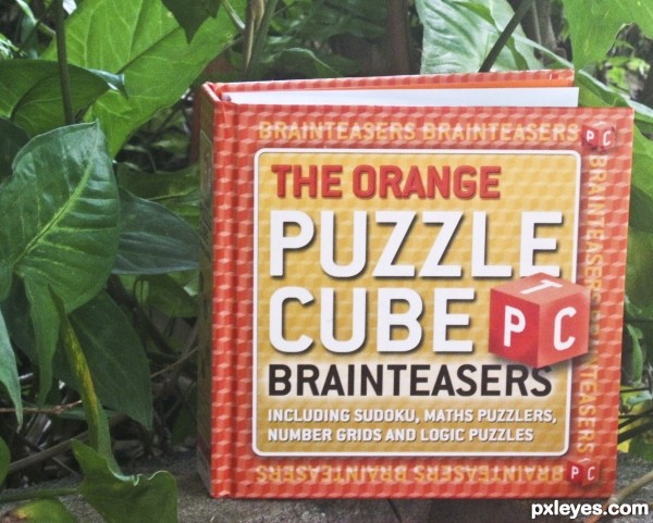 Jungle puzzle Book