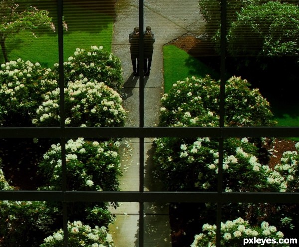 Mirrored Building 