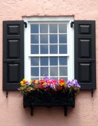 Window Box