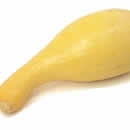 squash photography contest