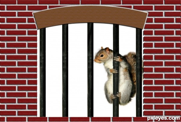 Creation of Jail House Squirrel: Step 4