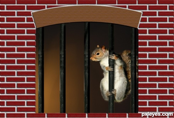 Creation of Jail House Squirrel: Step 5