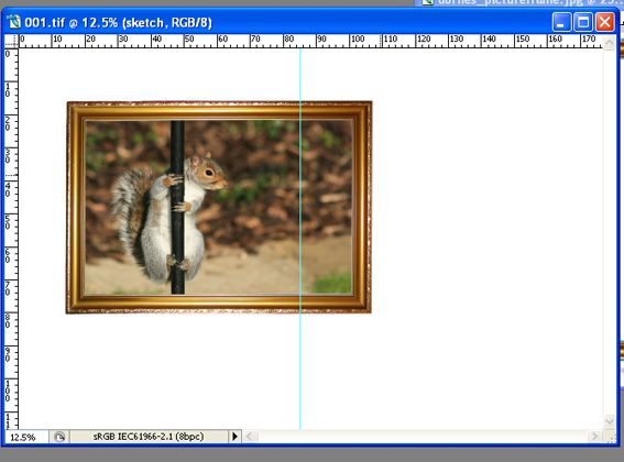 Creation of Squirrel Burgular: Step 1