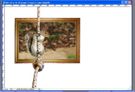 Creation of Squirrel Burgular: Step 2