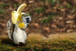 VeryLittleMonkey