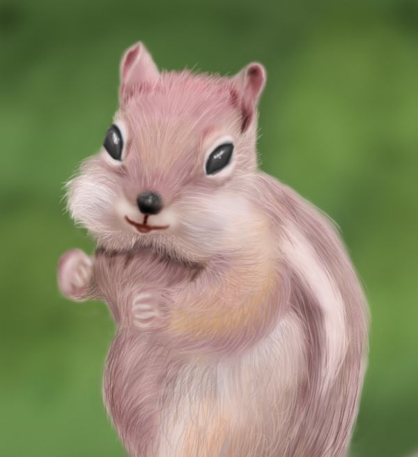 Creation of Chipmunk: Final Result