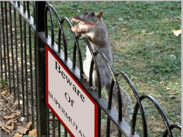 Creation of Not quite New York Zoo...: Step 6