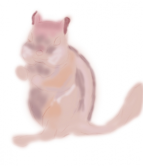 Creation of Chipmunk: Step 1