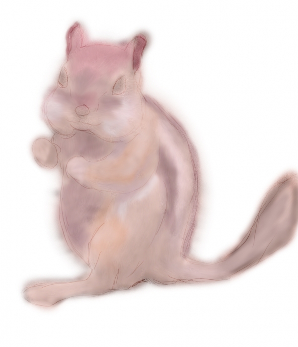 Creation of Chipmunk: Step 2
