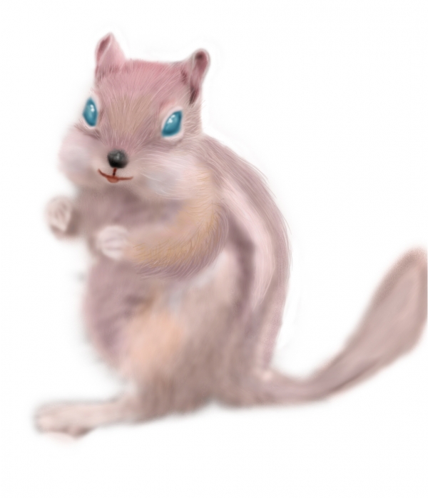 Creation of Chipmunk: Step 4