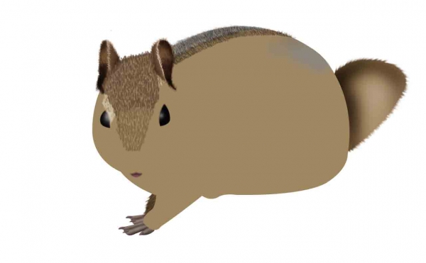 Creation of Chipmunk: Step 4