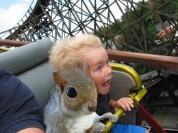 Coaster Squirrel 