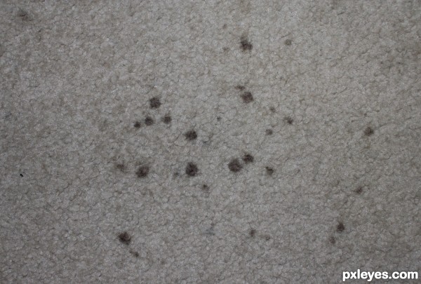 Coffee droplet stain in carpet