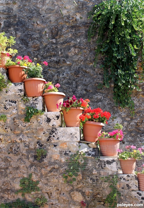 Flower stairs