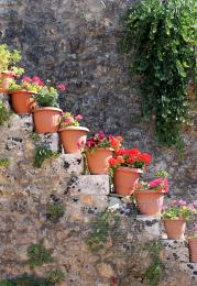 Flower stairs