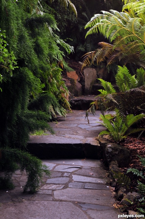 Stone Stairs