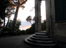 six steps to get home