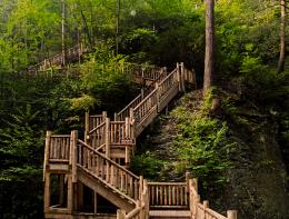 Mountain Stairs