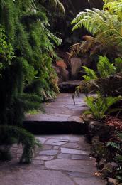 Stone Stairs