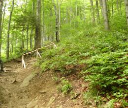 Rocky stairs