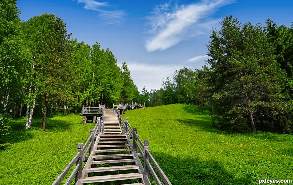 Walking in the woods