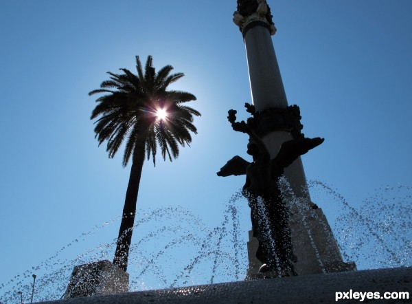 Palm and fountain