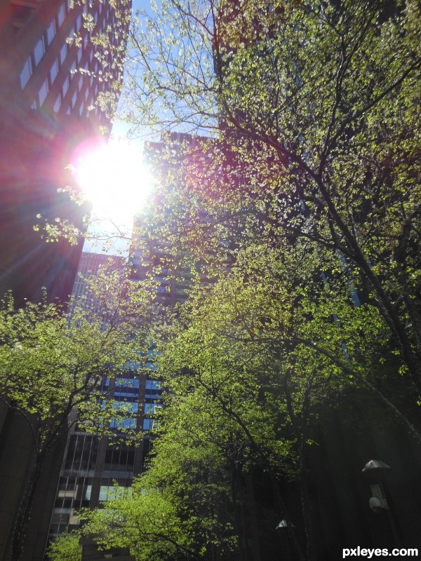 Sun in the City
