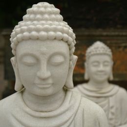 Buddha