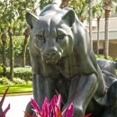 statues 2 photography contest