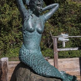 SalmonBeachMermaid