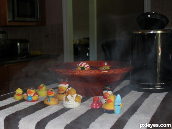 Steamed Duck