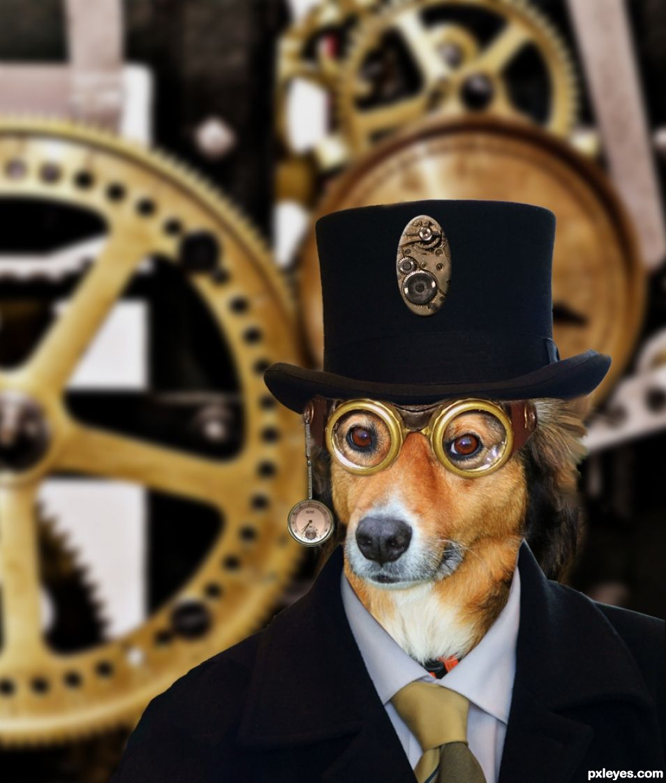 Creation of Steampunk Millionaire Dog: Final Result